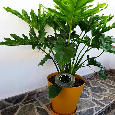 Jald Апартаменты