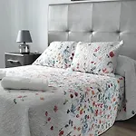 Apartment Jald
